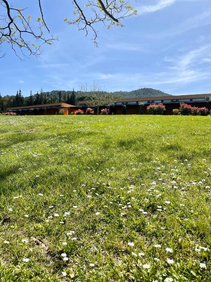 Mas Salvi Country Boutique Hotel Палс Екстериор снимка
